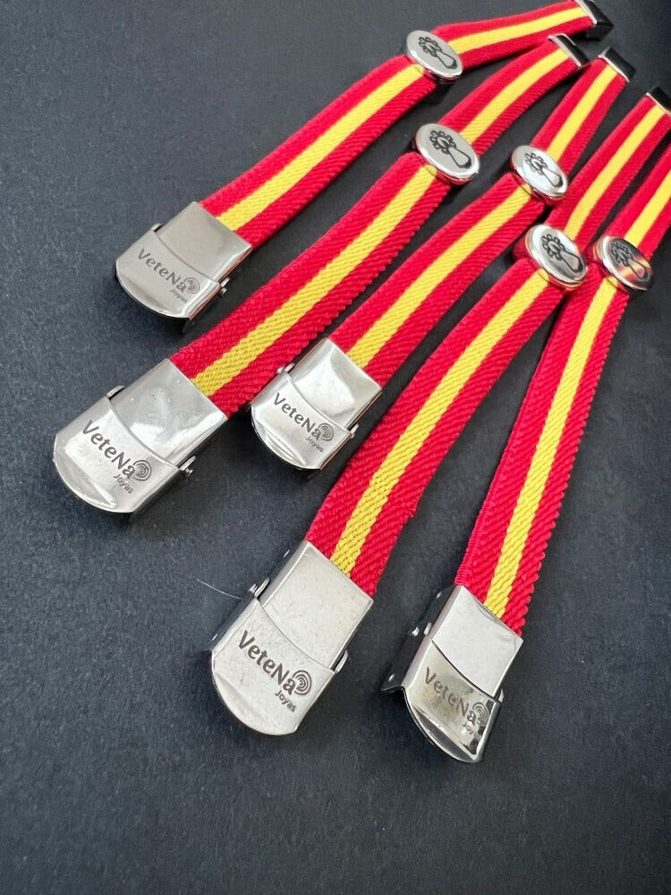 Pulsera Bandera Virgen